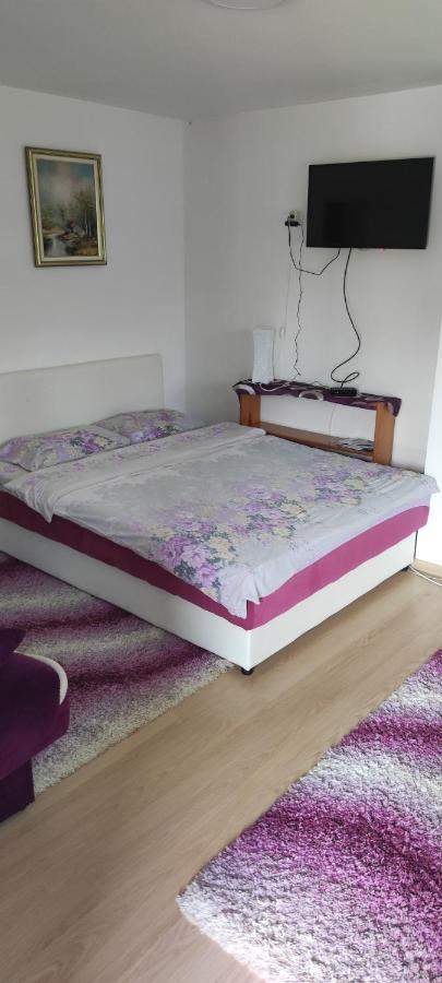 Apartment Bucic Zlatibor Kültér fotó