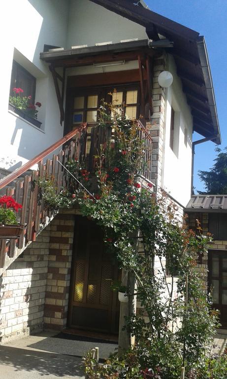 Apartment Bucic Zlatibor Kültér fotó